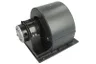 2172815 Ventilator, radiator EXCAMEC