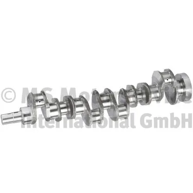 20051963543 Arbore cotit BF