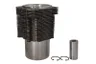 ENT059004 STD Set raparatii, piston/bucsa cursa cilindru ENGITECH