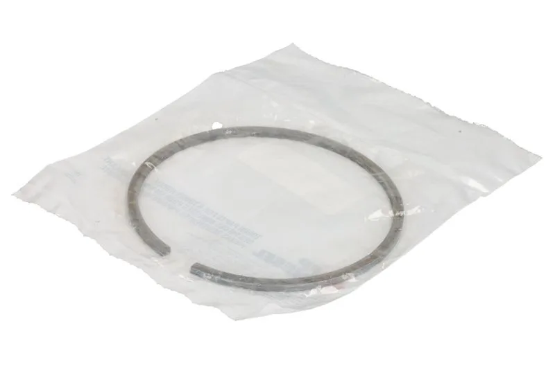 Segment piston