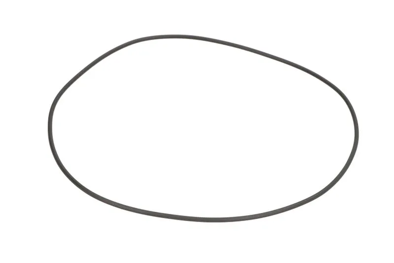 O-ring