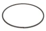 0730513906ZF Siguranta ZF