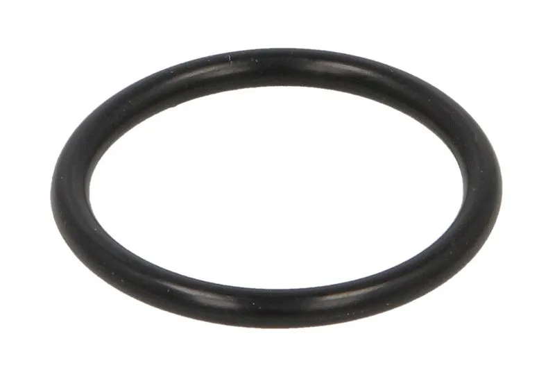 28125 Set reparatie, diferential CARRARO