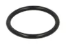 28125 Set reparatie, diferential CARRARO