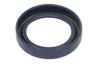 25153 Garnitura, diferential CARRARO