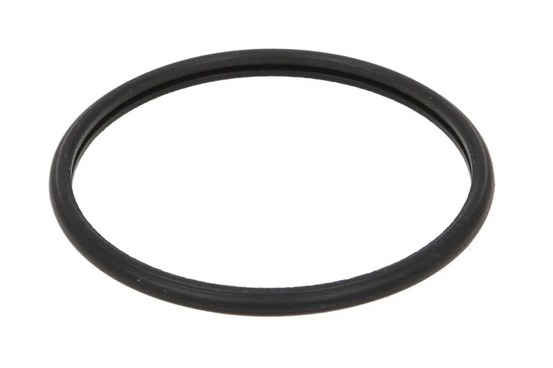 504387771 Garnitura termostat FPT