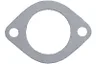 Garnitura, carcasa termostat