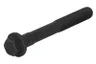 R519287-FP Surub chiulasa FP DIESEL