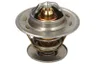 TH7459.81 Termostat,lichid racire CALORSTAT BY VERNET