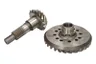 12170156 Taler -/ con pinion set EURORICAMBI
