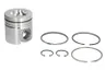 3802100-FP Piston FP DIESEL