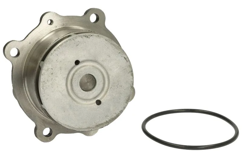 WP-DE106 Pompa apa THERMOTEC