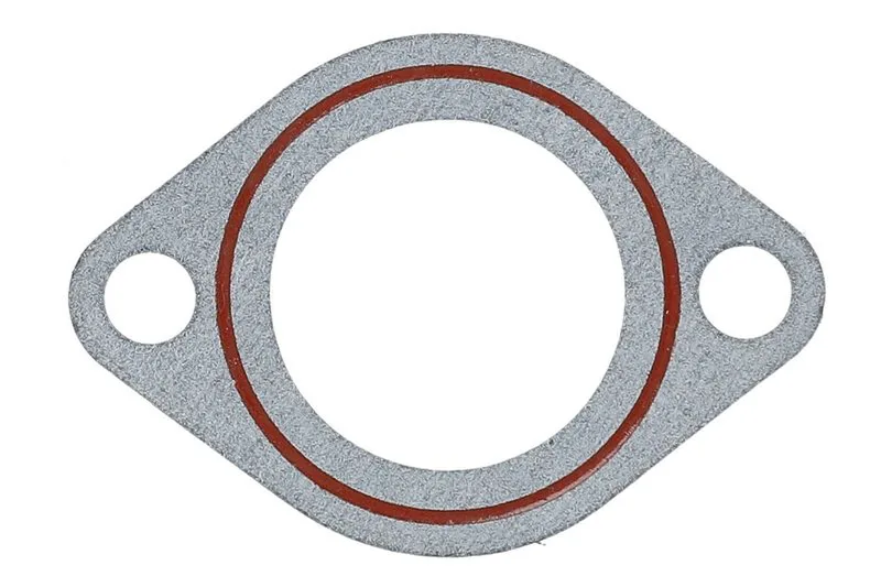 Garnitura, pompa de apa