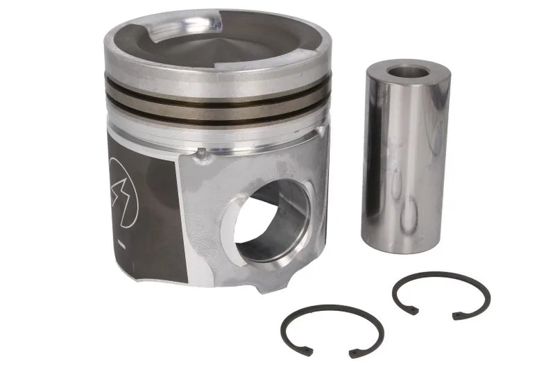 3631245 Piston FP DIESEL