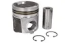3631245 Piston FP DIESEL