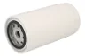 5802541167 Filtru combustibil FPT