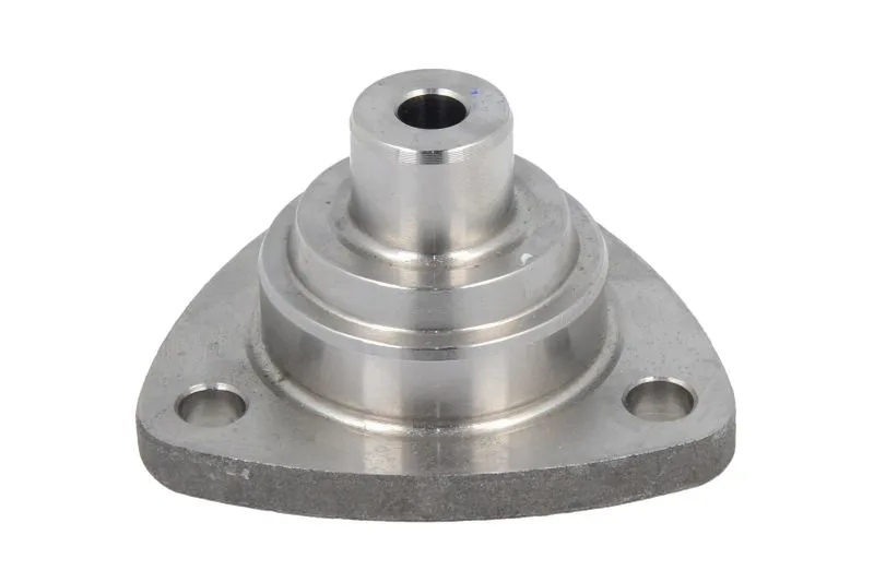000.312298.B Pivot DANA SPICER