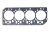 R116515 Garnitura chiulasa FP DIESEL