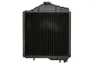 440315N Radiator, racire motor AKS DASIS