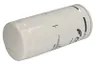 5801364481 Filtru combustibil FPT