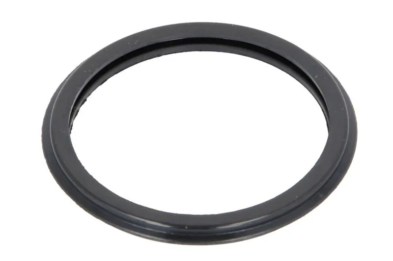 4804409 Garnitura bloc motor SRP