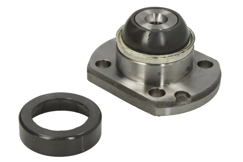 10147163 Set reparatie, pivot DANA SPICER