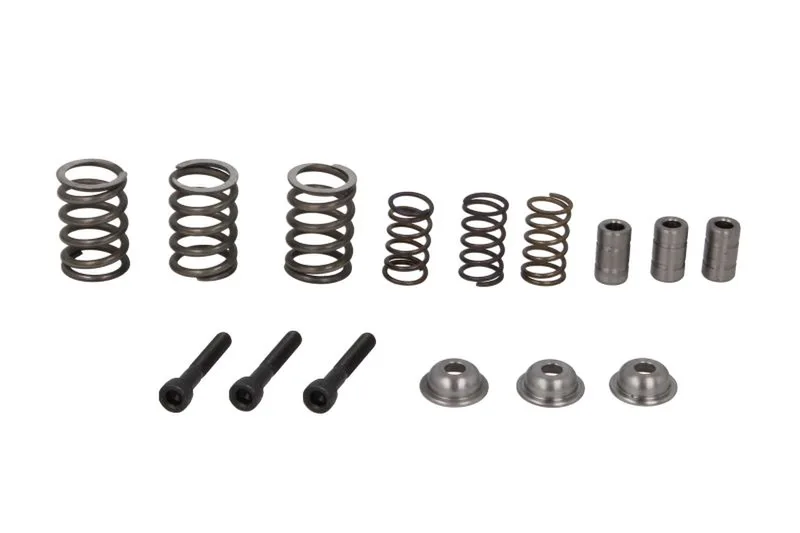 Kit reparare etrier