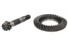 Taler -/ con pinion set