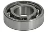 6004-C3 Rulment SKF