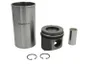 Set raparatii, piston/bucsa cursa cilindru