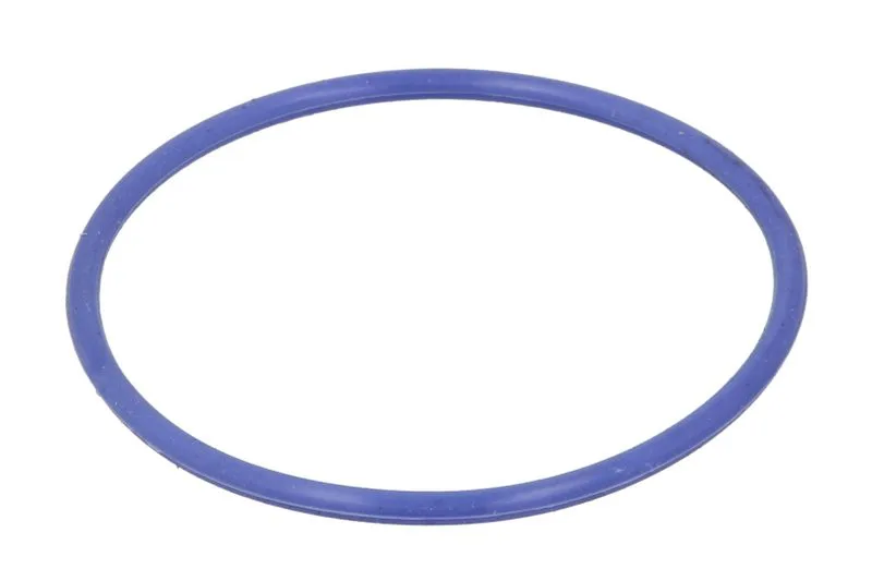 ENT030165 O-ring, camasa cilindru ENGITECH