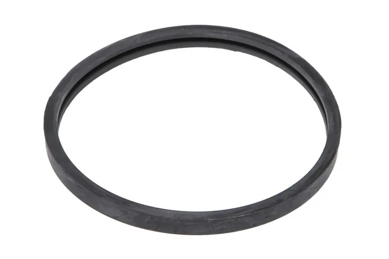 Garnitura termostat