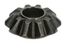 171.04.004.01A-DS Diferential DANA SPICER