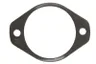 R96935-FP Garnitura bloc motor FP DIESEL