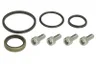 Set garnituri complet, motor