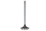 R90692-FP Supapa evacuare FP DIESEL