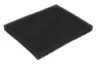 SKL46225 Filtru, aer habitaclu SF