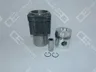 Set raparatii, piston/bucsa cursa cilindru