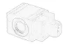 Valva solenoida