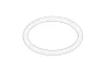O-ring