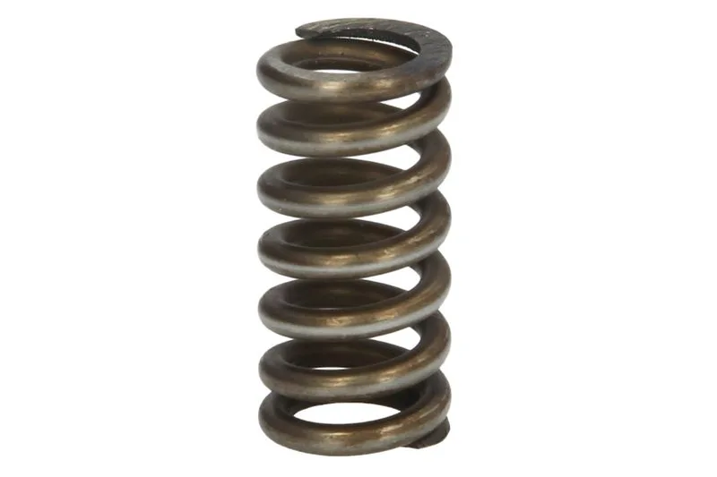 Arc sabot frana