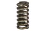 Arc sabot frana