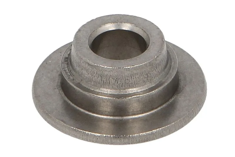 4895074 Disc supapa FPT