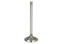 R97490-FP Supapa admisie FP DIESEL