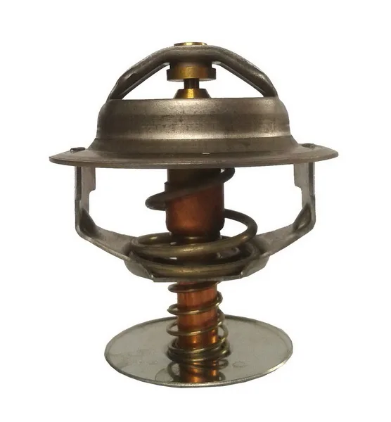 Termostat,lichid racire