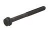 3927063-FP Surub chiulasa FP DIESEL