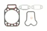 Set garnituri complet, motor
