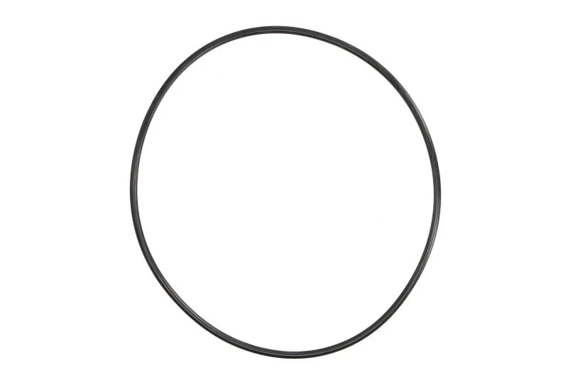 960259 Inel de etansare, filtru hidraulic SRP