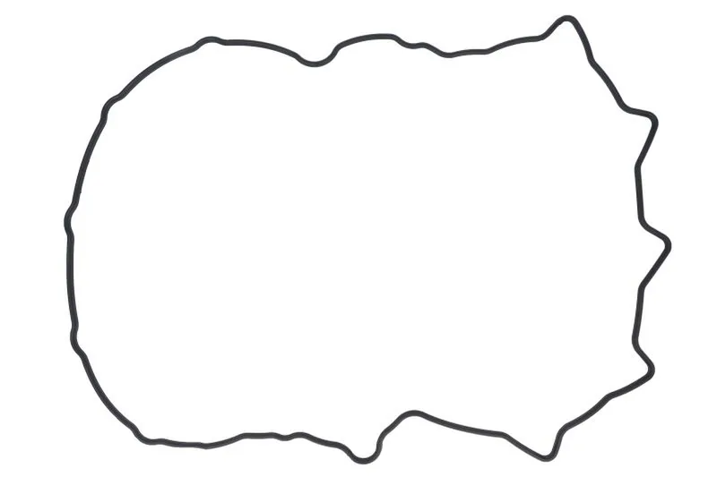 504070040 Garnitura, capac supape FPT