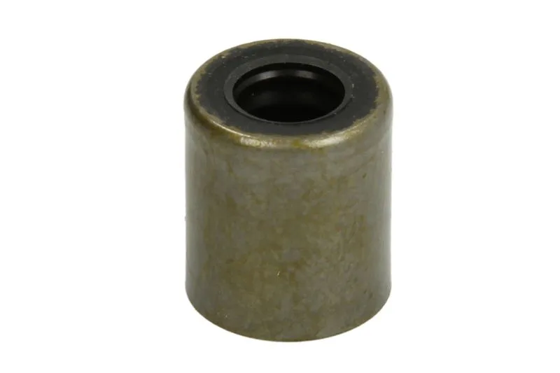 RE526519 Etansare, supape FP DIESEL